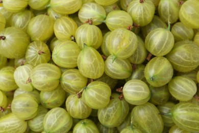 Photo of Many fresh green gooseberries as background, top view