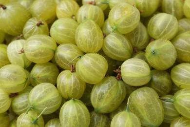 Photo of Many fresh green gooseberries as background, top view