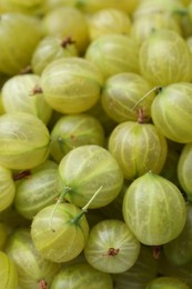 Photo of Many fresh green gooseberries as background, above view