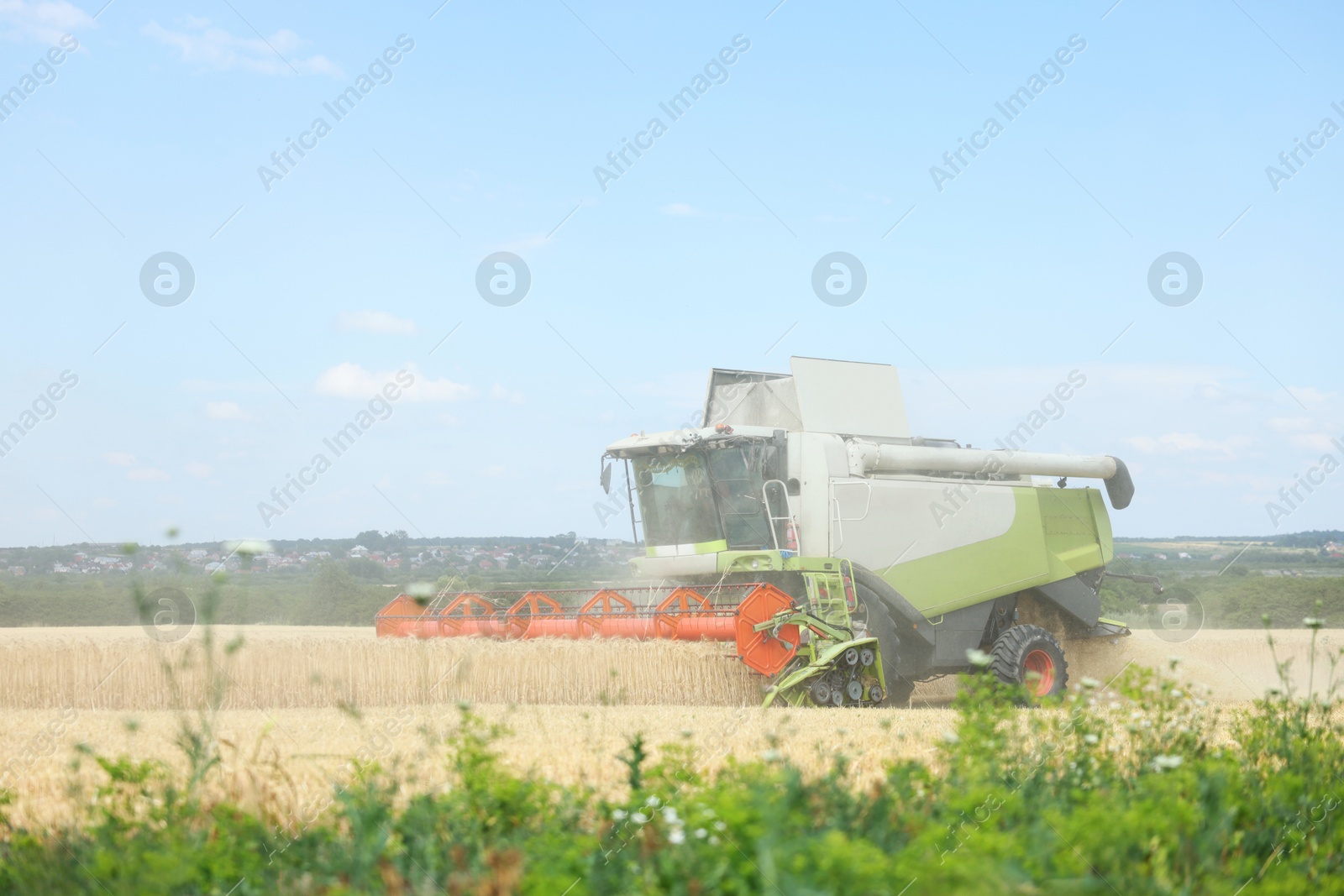 Modern combine harvester working in wheat field Photo of Modern combine harvester working in wheat field