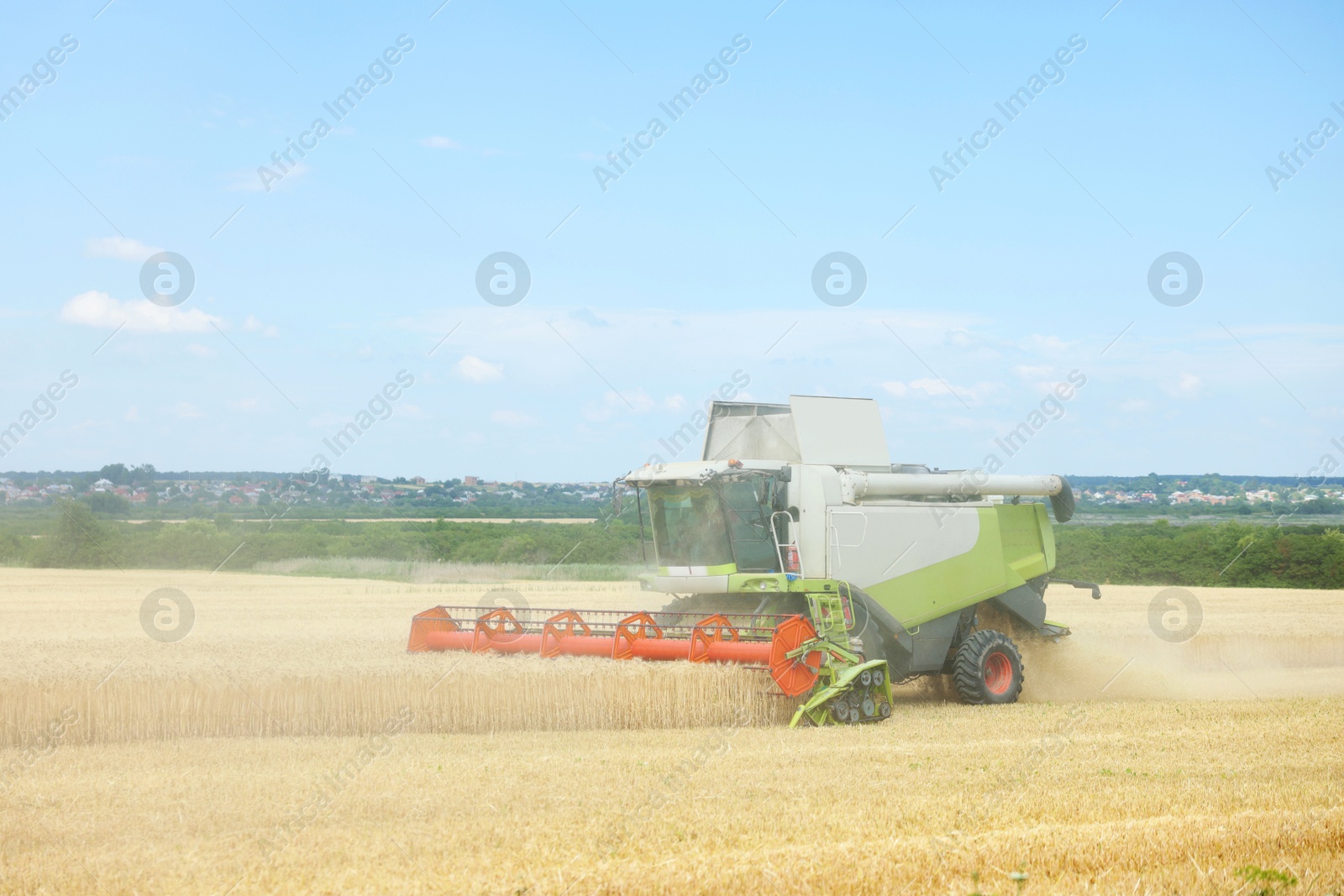 Modern combine harvester working in wheat field Photo of Modern combine harvester working in wheat field
