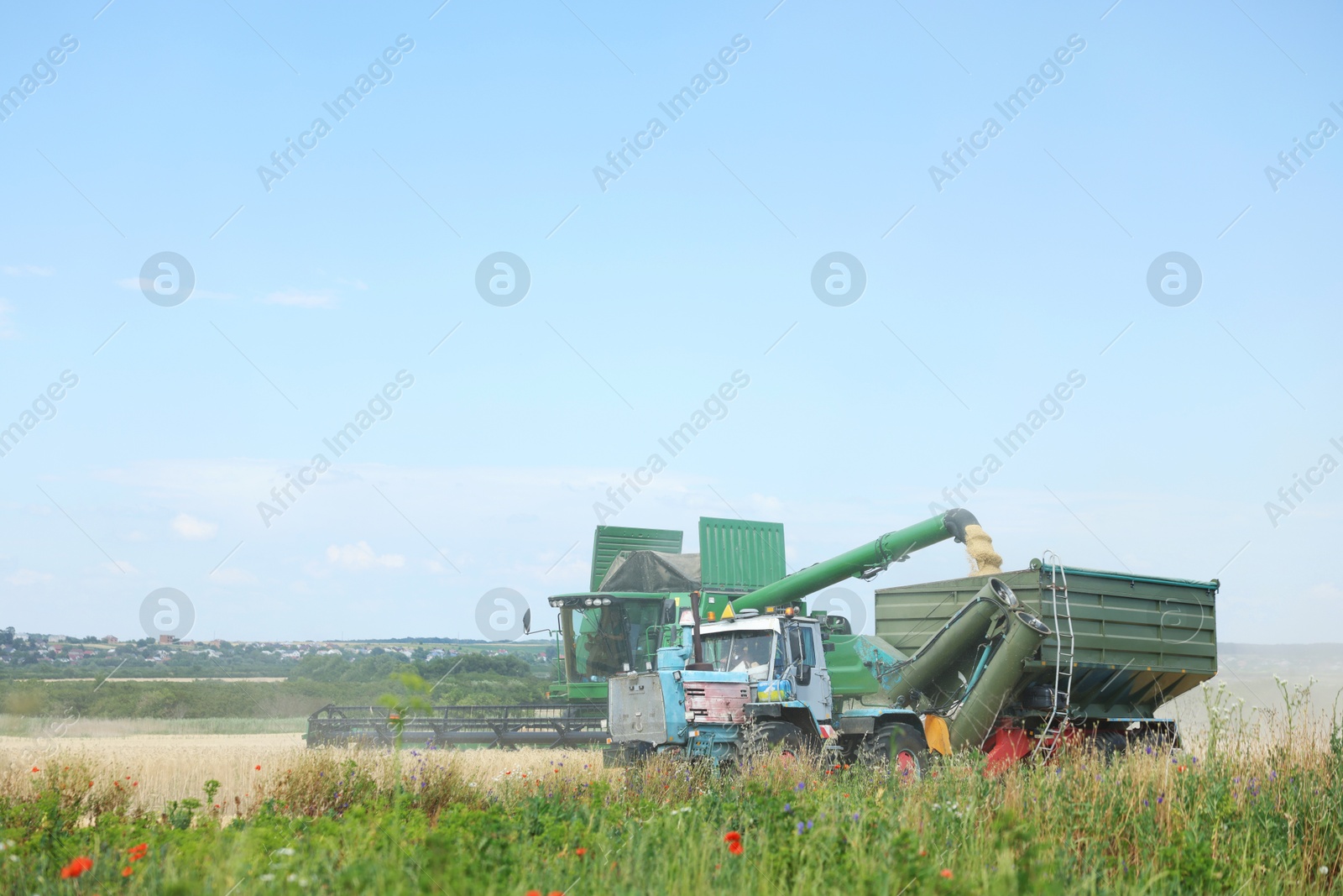 Combine harvester unloading wheat into tractor trailer in field Photo of Combine harvester unloading wheat into tractor trailer in field
