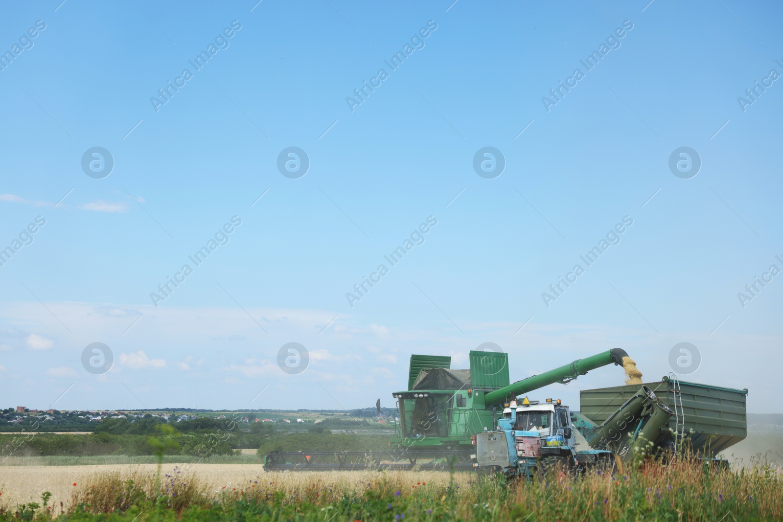 Combine harvester unloading wheat into tractor trailer in field Photo of Combine harvester unloading wheat into tractor trailer in field