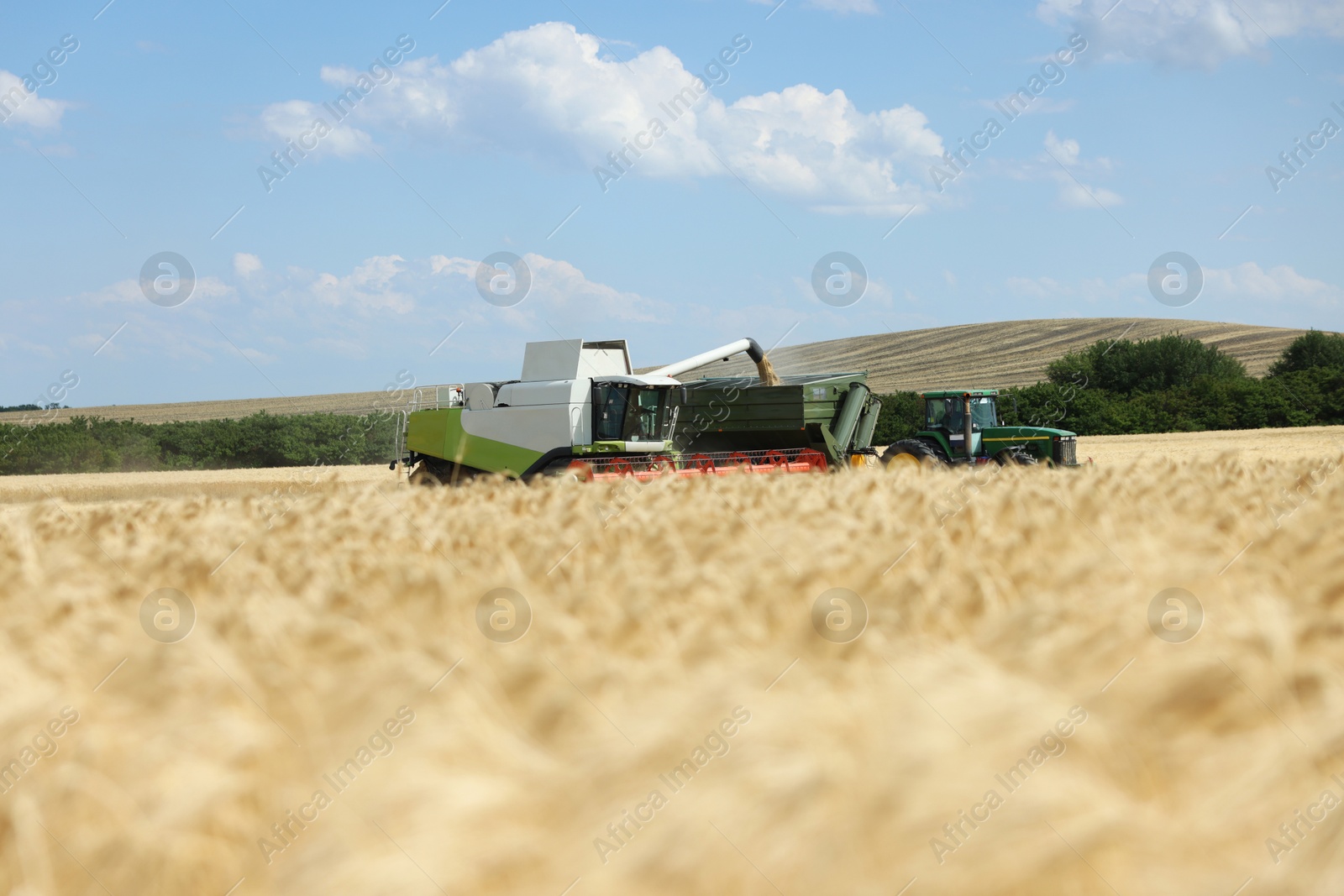 Combine harvester unloading wheat into tractor trailer in field Photo of Combine harvester unloading wheat into tractor trailer in field