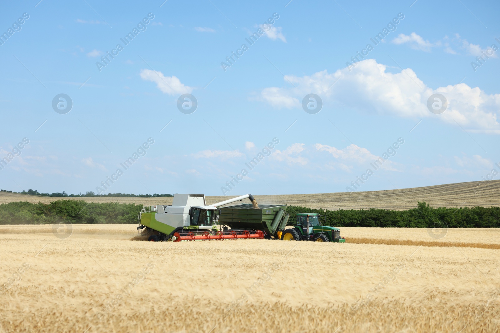 Combine harvester unloading wheat into tractor trailer in field Photo of Combine harvester unloading wheat into tractor trailer in field