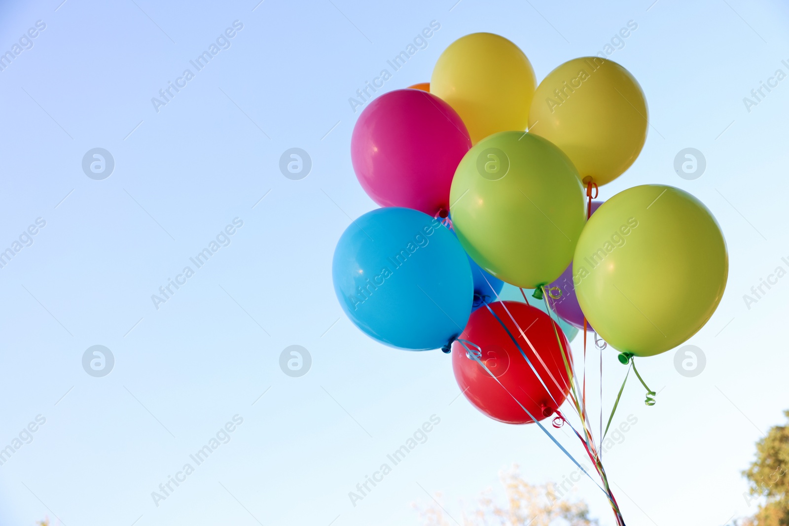 Photo of Bunch of colorful balloons under beautiful sky, low angle view. Space for text