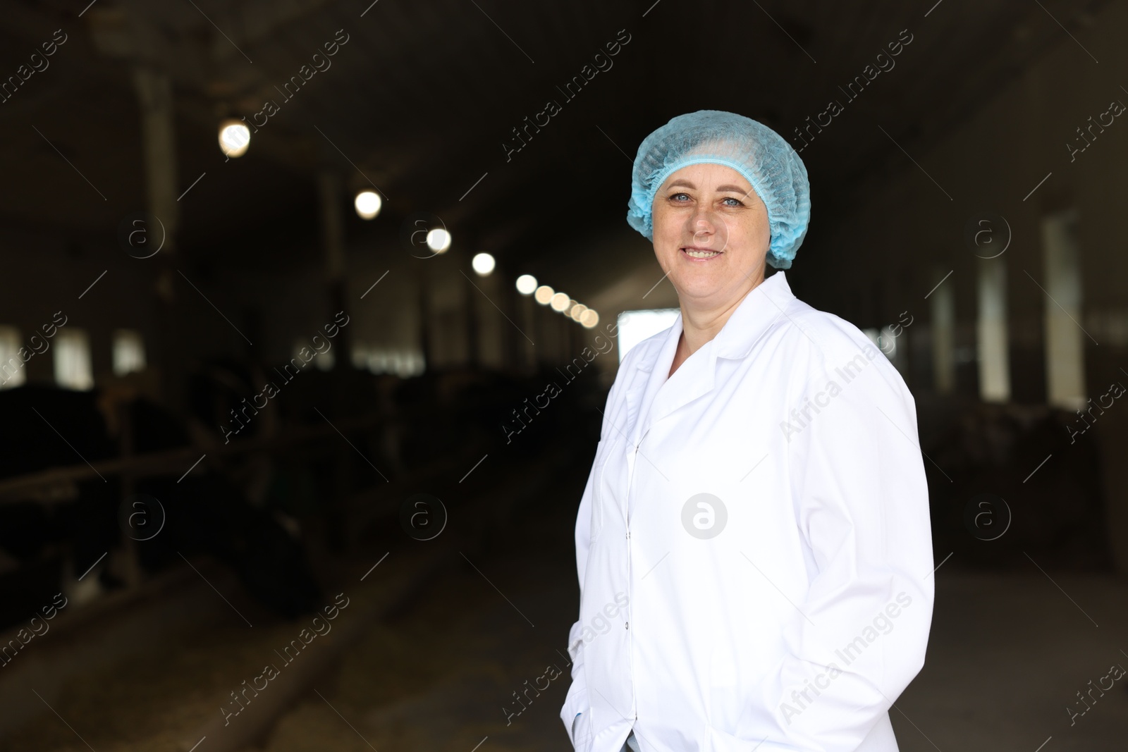 Photo of Portrait of veterinarian inside cowshed in dairy farm, space for text