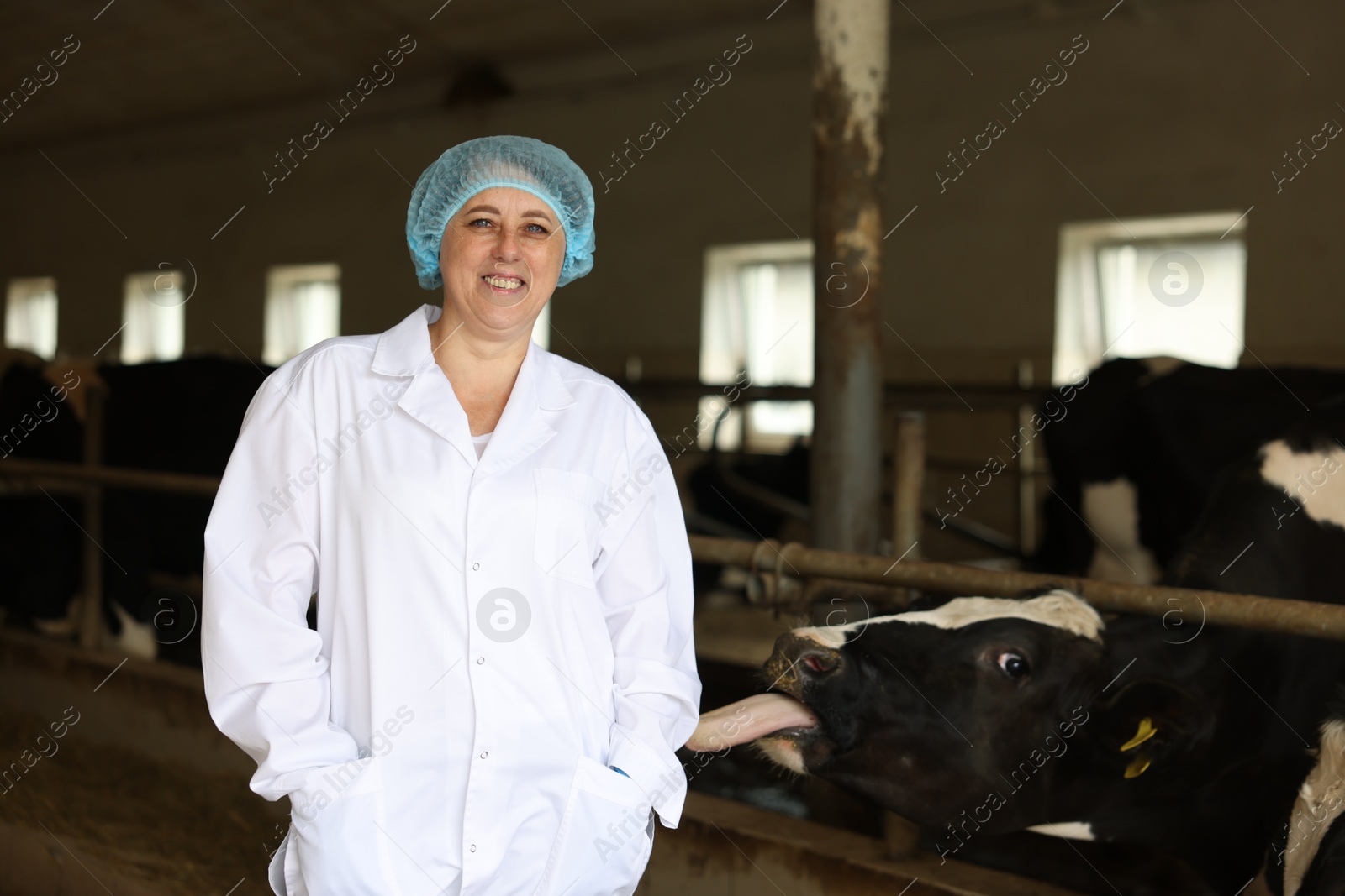 Photo of Portrait of veterinarian inside cowshed in dairy farm, space for text
