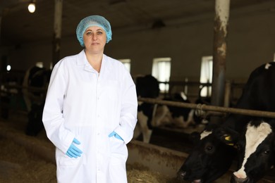 Photo of Portrait of veterinarian near cute cows inside cowshed in dairy farm, space for text