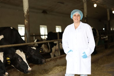 Photo of Portrait of veterinarian near cute cows inside cowshed in dairy farm, space for text