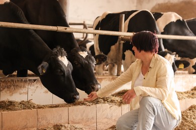 Photo of Farmer with cute cows inside cowshed in dairy farm