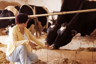 Photo of Farmer with cute cows inside cowshed in dairy farm