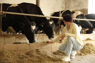 Photo of Farmer with cute cows inside cowshed in dairy farm