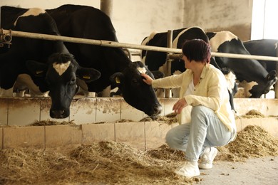 Photo of Farmer with cute cows inside cowshed in dairy farm