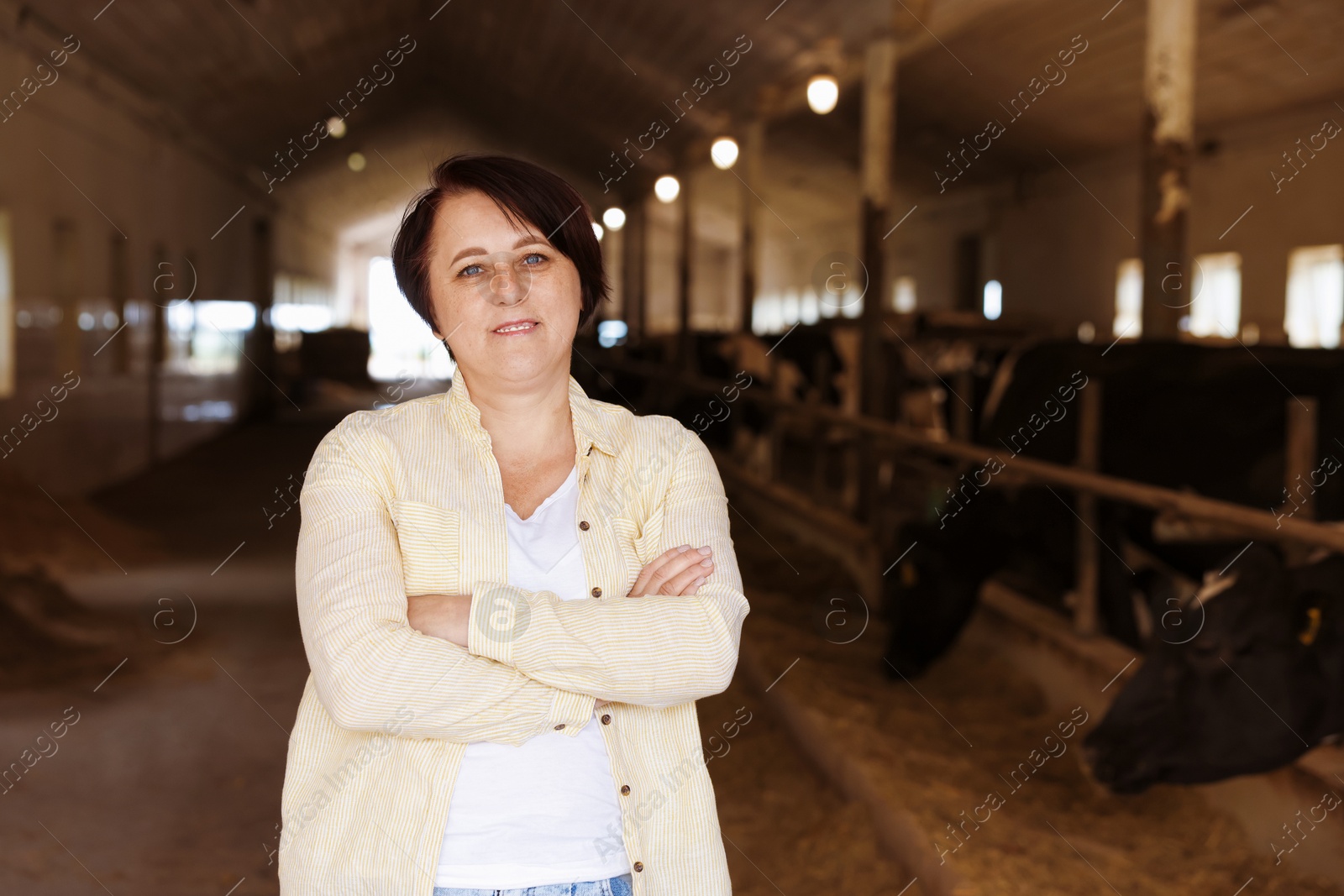 Photo of Portrait of farmer inside cowshed in dairy farm, space for text