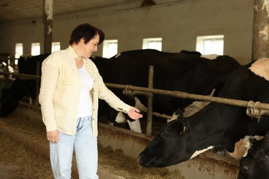 Photo of Farmer with cute cows inside cowshed in dairy farm