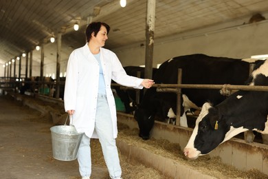Photo of Farmer with bucket near cute cows inside cowshed in dairy farm