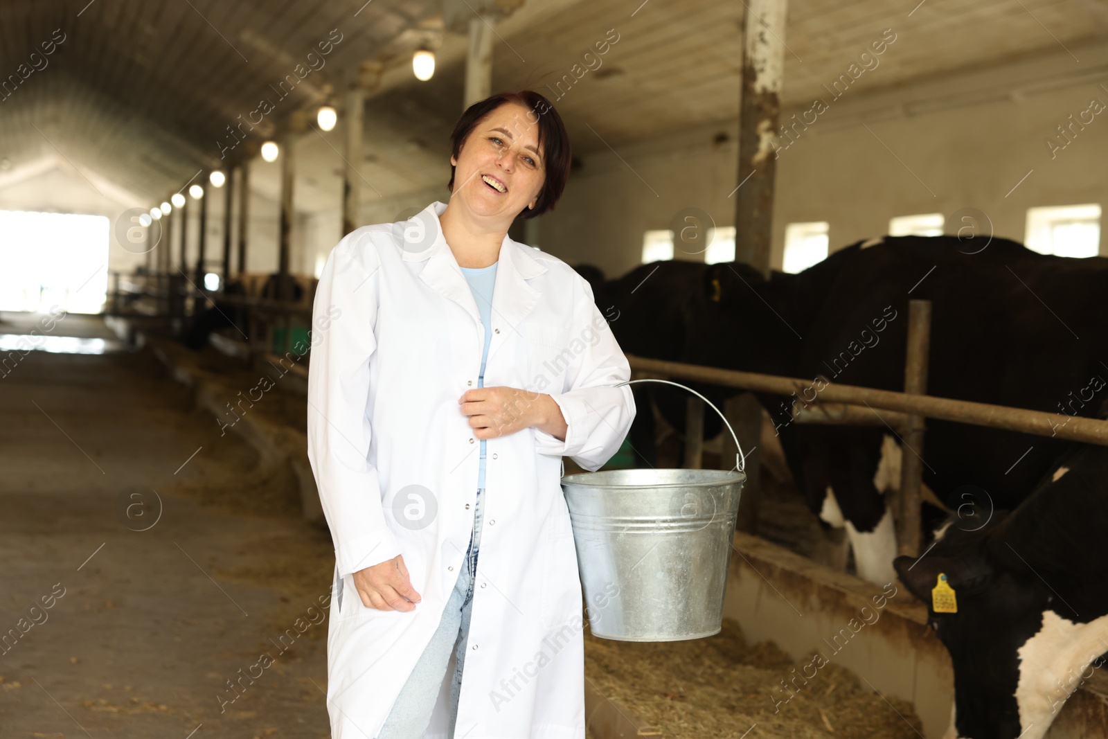 Photo of Portrait of farmer with bucket near cute cows inside cowshed in dairy farm