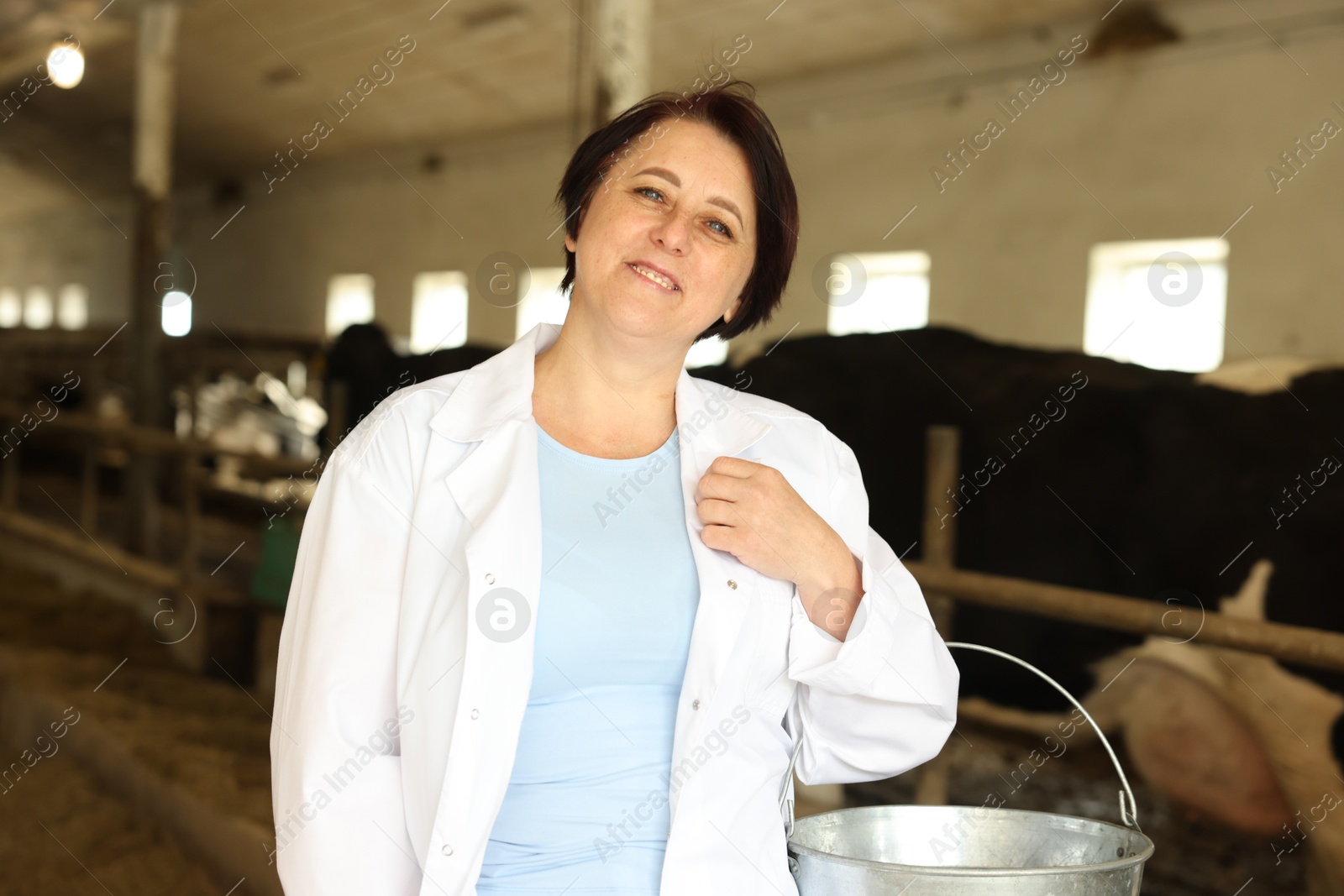 Photo of Portrait of farmer with bucket near cute cows inside cowshed in dairy farm