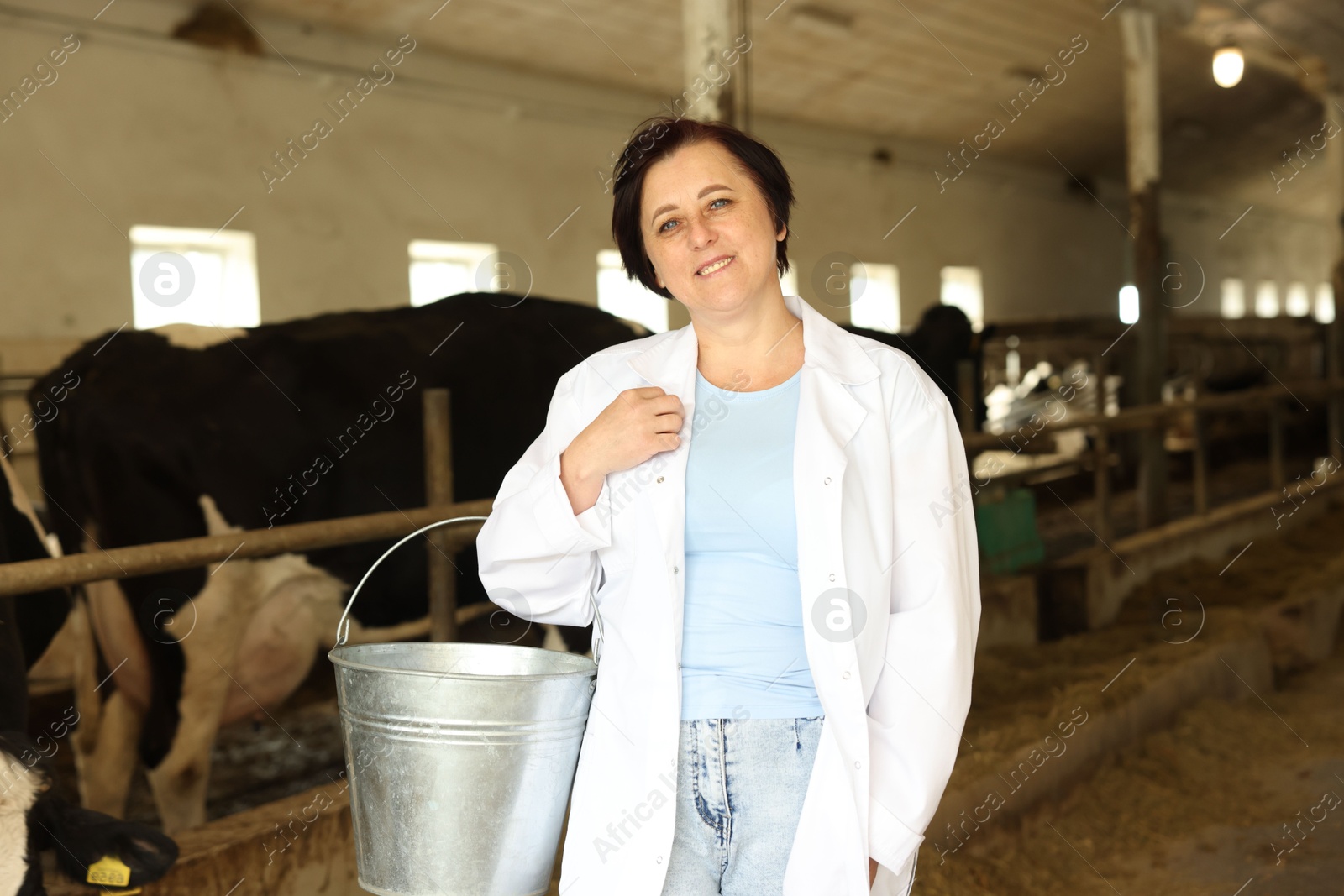 Photo of Portrait of farmer with bucket near cute cows inside cowshed in dairy farm