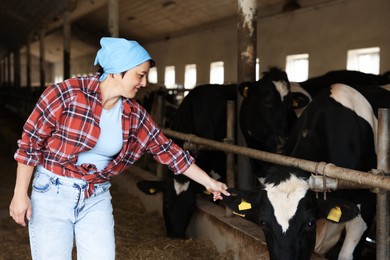 Photo of Farmer with cute cows inside cowshed in dairy farm