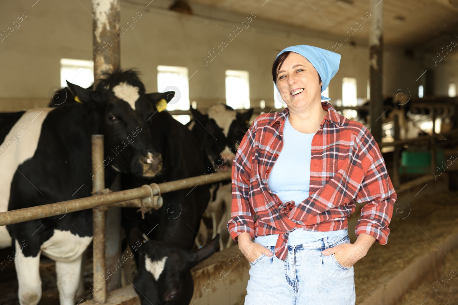Photo of Portrait of farmer near cute cows inside cowshed in dairy farm