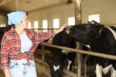 Photo of Farmer with cute cows inside cowshed in dairy farm