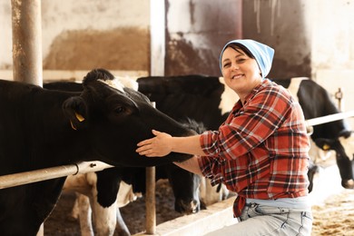 Photo of Farmer with cute cows inside cowshed in dairy farm