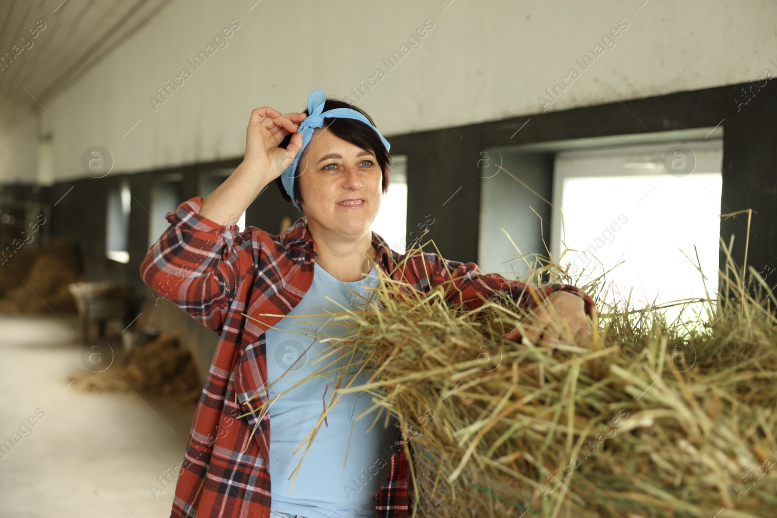 Photo of Portrait of farmer with hay in dairy farm