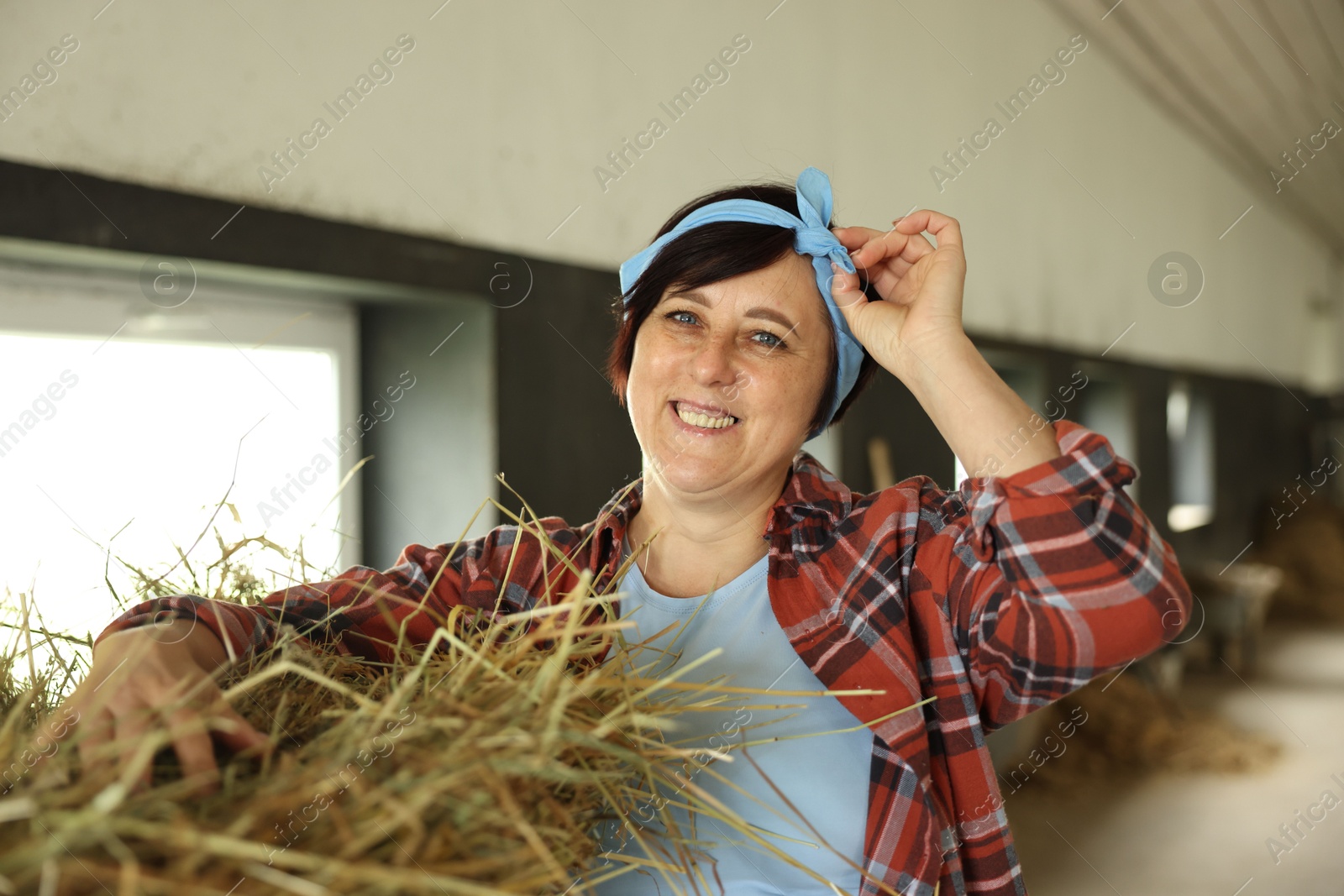Photo of Portrait of farmer with hay in dairy farm
