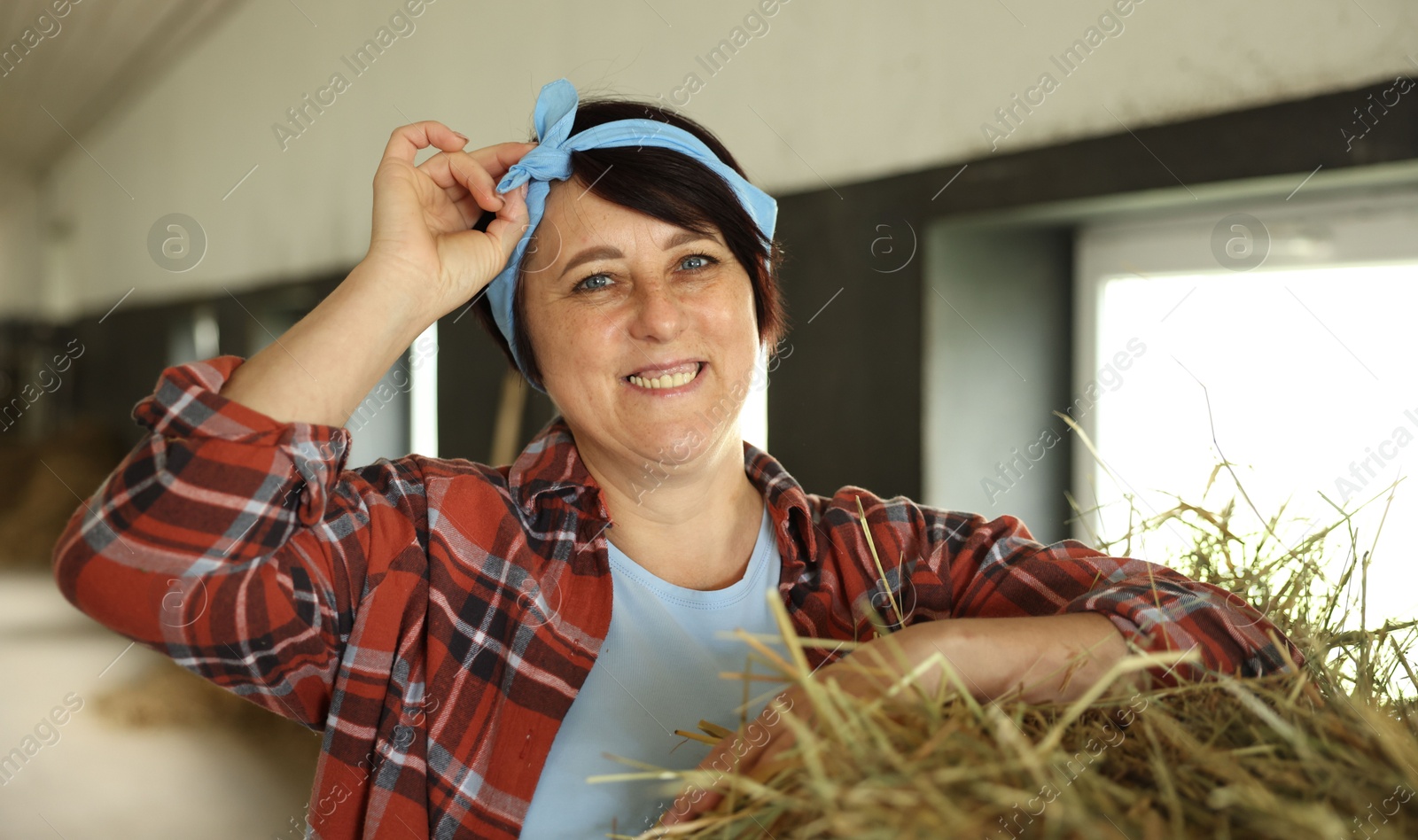 Photo of Portrait of farmer with hay in dairy farm