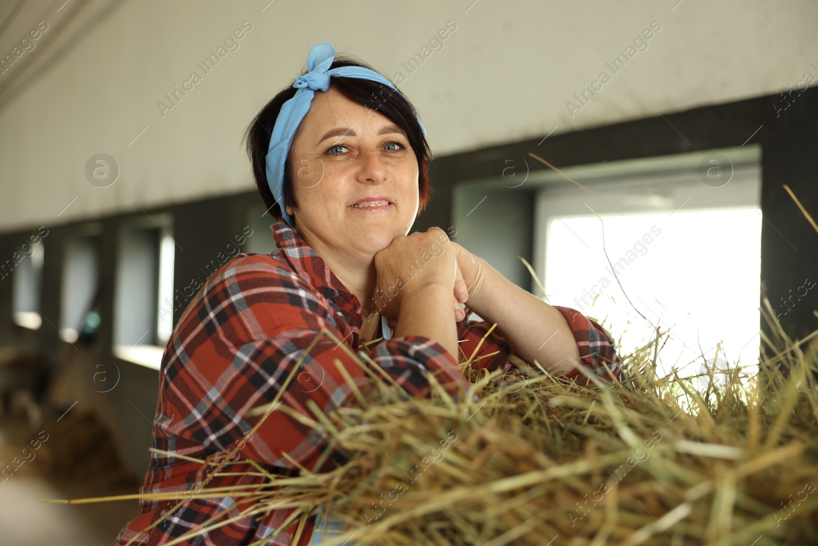 Photo of Portrait of farmer with hay in dairy farm