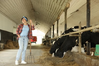 Photo of Farmer feeding hay to cute cows inside cowshed in dairy farm