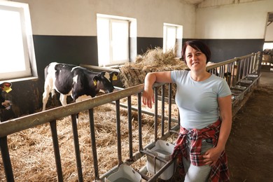Photo of Farmer with cute calves inside cowshed in dairy farm