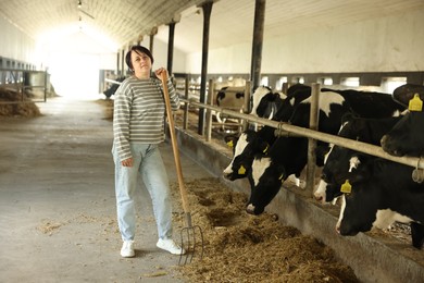 Photo of Farmer feeding hay to cute cows inside cowshed in dairy farm