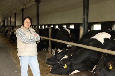 Photo of Portrait of farmer with cute cows inside cowshed in dairy farm