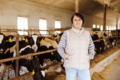 Photo of Portrait of farmer near cute cows inside cowshed in dairy farm