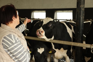 Photo of Farmer with cute cows inside cowshed in dairy farm, back view