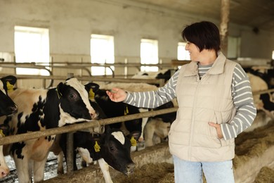 Photo of Farmer with cute cows inside cowshed in dairy farm