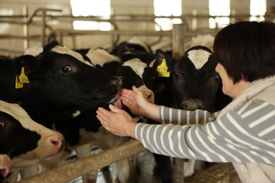Photo of Farmer with cute cows inside cowshed in dairy farm, back view