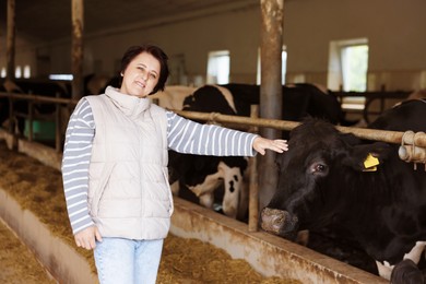 Photo of Farmer with cute cows inside cowshed in dairy farm