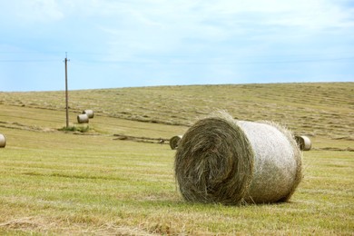 Photo of Hay bales on green grass in field. Space for text