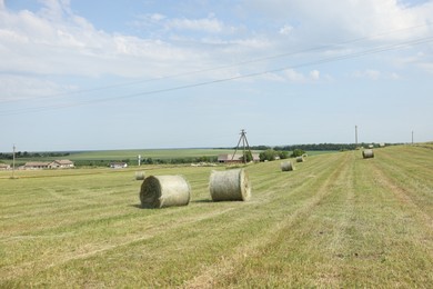 Photo of Hay bales on green grass in field