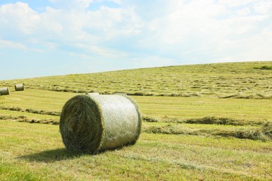 Photo of Hay bales on green grass in field. Space for text
