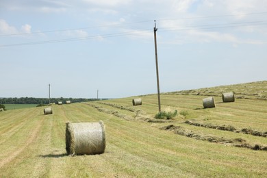 Photo of Hay bales on green grass in field