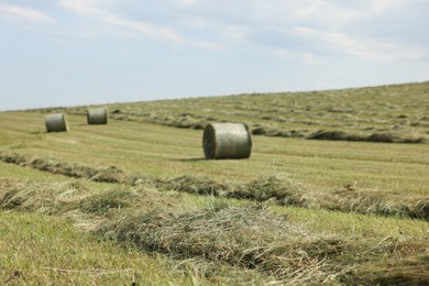 Photo of Hay bales on green grass in field