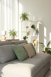Photo of Stylish sofa and other furniture in living room, closeup. Interior design