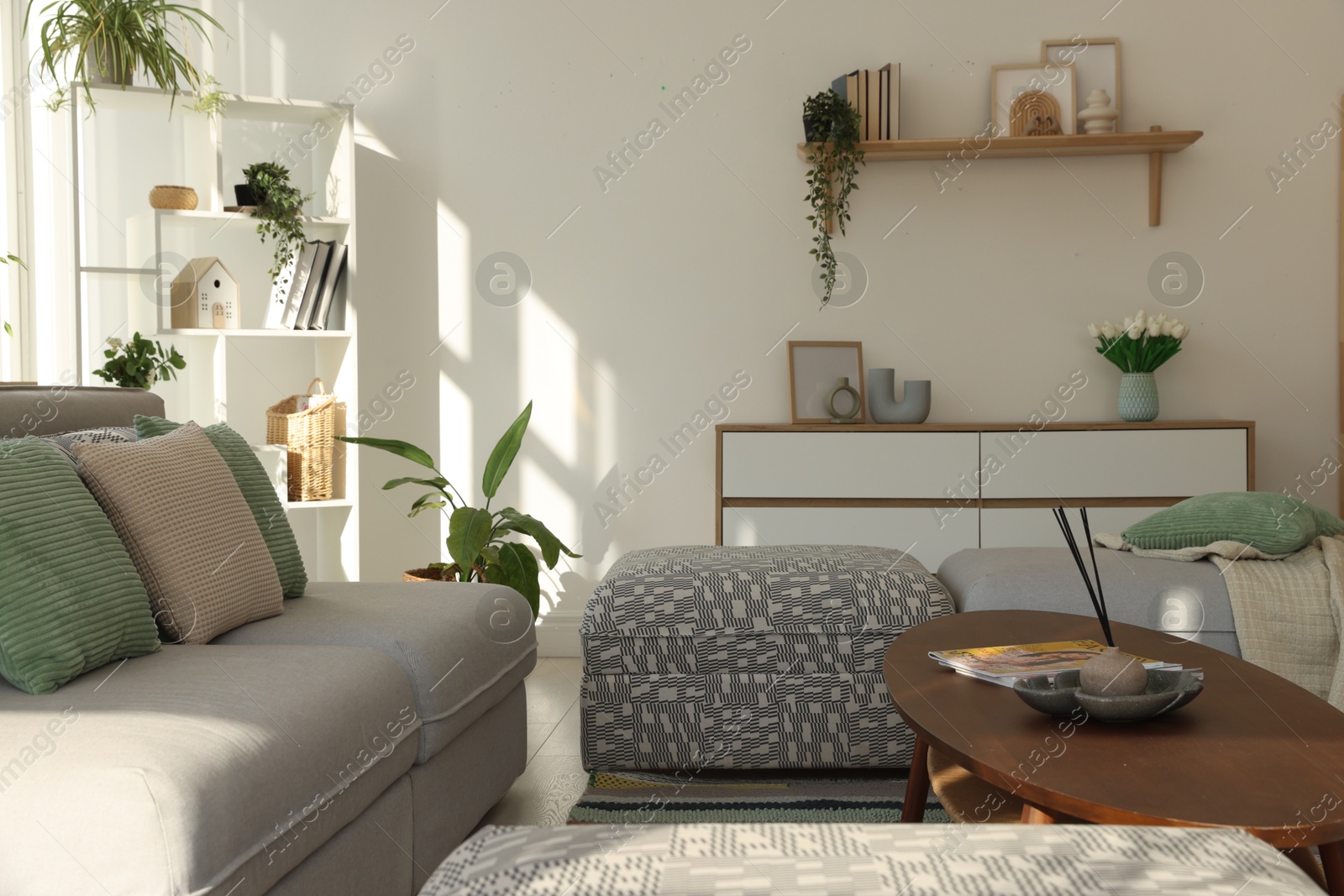 Photo of Stylish sofa and other furniture in living room. Interior design