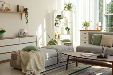 Photo of Stylish sofa and other furniture in living room. Interior design