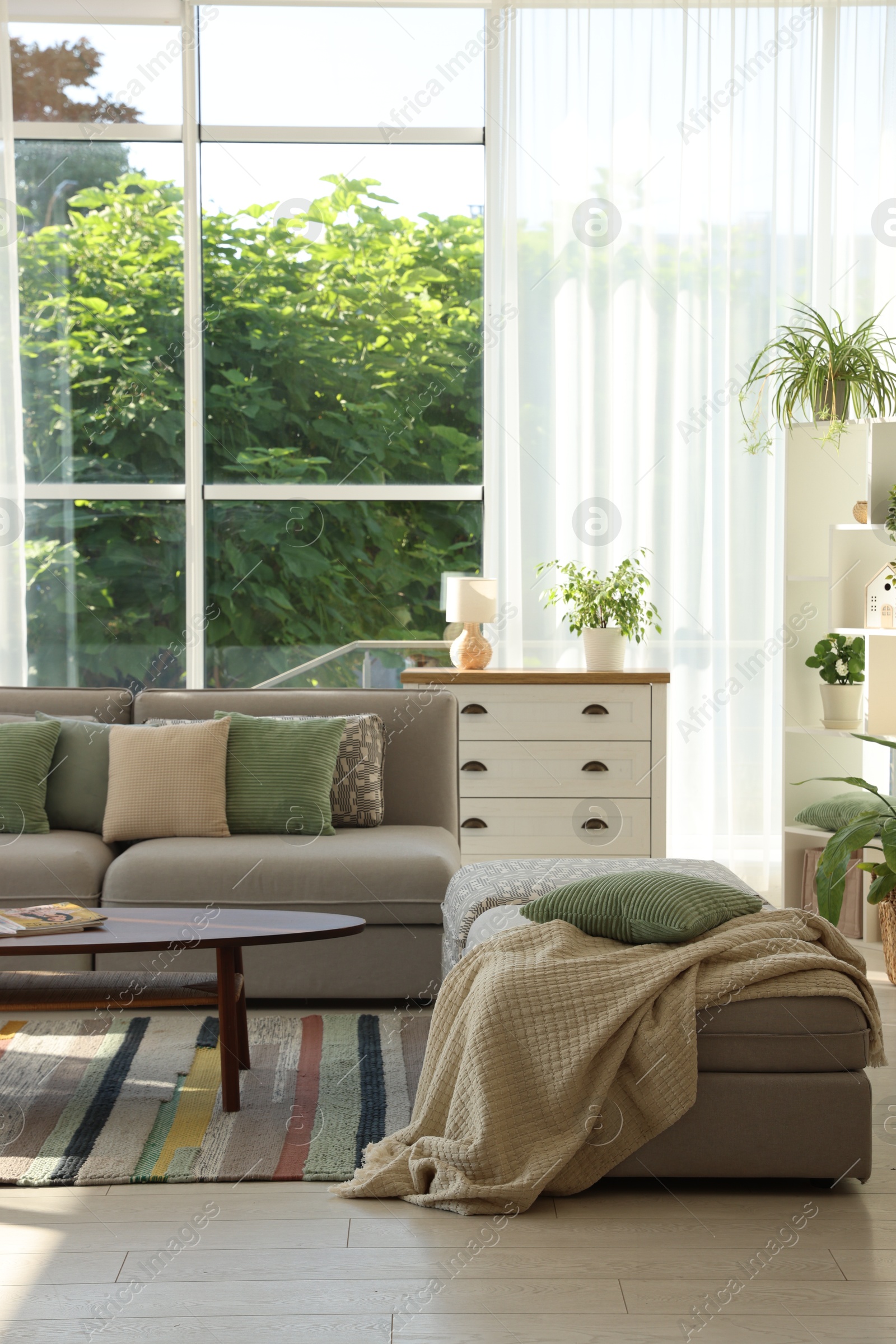 Photo of Stylish sofa and other furniture in living room. Interior design